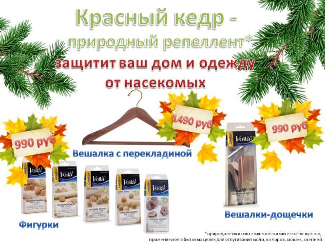 Красный кедр.jpg Красный кедр.jpg