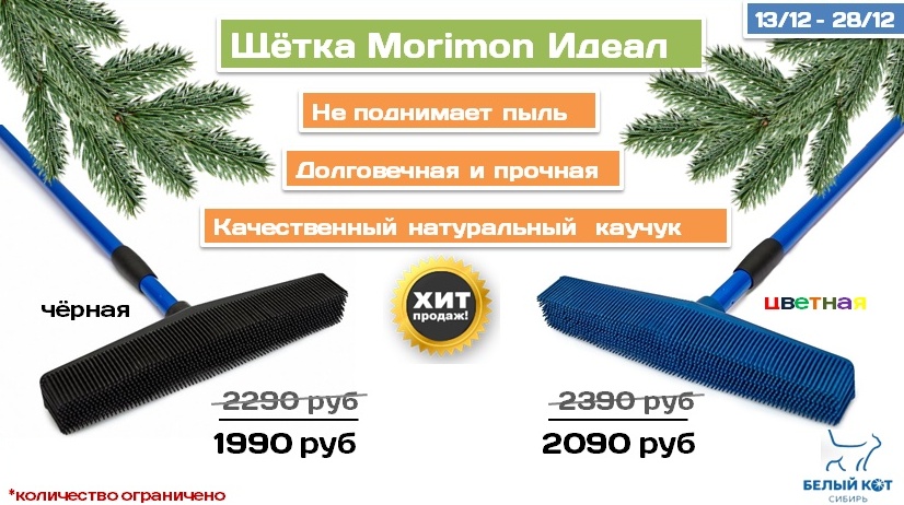 щётка Моримон.jpg щётка Моримон.jpg