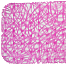 Антискользящий коврик для душа Lux 52х52 см, (розовый)